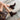 Women's Cow Suede Elastic Band Square Toe Pull-on Short Boots