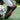 Black Synthetic Leather Lace-up TF and AG Sole Outdoor Soccer Shoes for Men