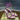 Purple Summer Snake Twine Ankle Strap High Heels Gladiator Sandals for Women