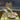 Yellow Gold Summer Snake Twine Ankle Strap High Heels Gladiator Sandals for Women