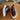 Glossy Crocodile Skin Thick White Sole Lace-up Casual Sneakers for Men
