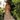 Elegant Flower Lace A-line Ball Gown Women's Luxury Evening Dress