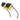 3-in-1 Rectangle Spectacle Frame Polarized Magnetic Sunglasses for Men and Women