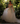 Elegant Flower Lace A-line Ball Gown Women's Luxury Evening Dress
