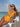 Sexy Women's Push Up Hollow Flower Backless One Piece Swimsuit