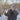 Women's Winter Thick Warm Wool Real Sheep Shearling Fur Coats & Jackets  -  geraldblacksnap.com